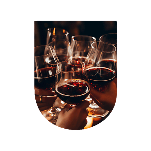 Nuestras novedades de vinos de Borgoña | U'Wine